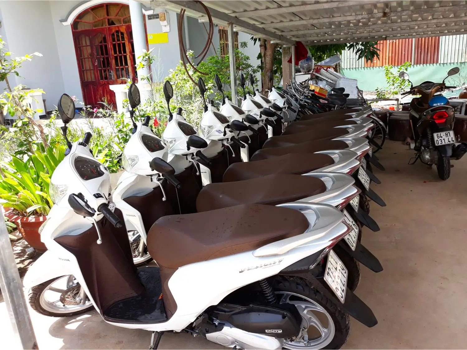 Cập nhật 6 Phương tiện di chuyển ở Côn Đảo phổ biến nhất hiện nay 4