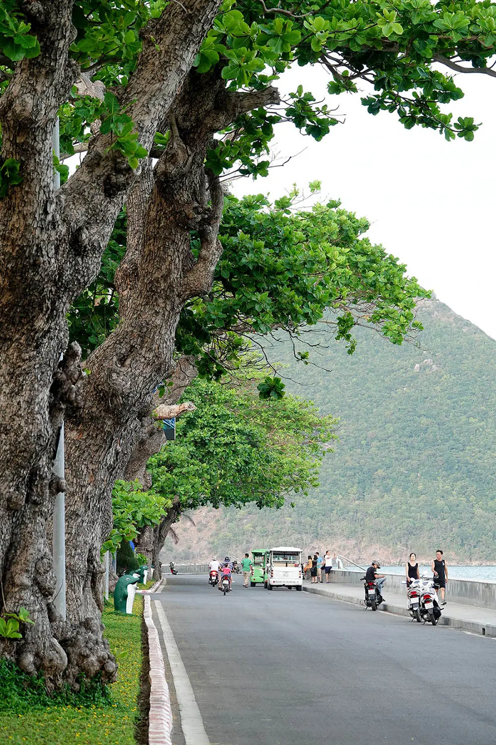 Côn Đảo mùa biển động, đâu cần nắng nơi đây mới mộng mơ 2