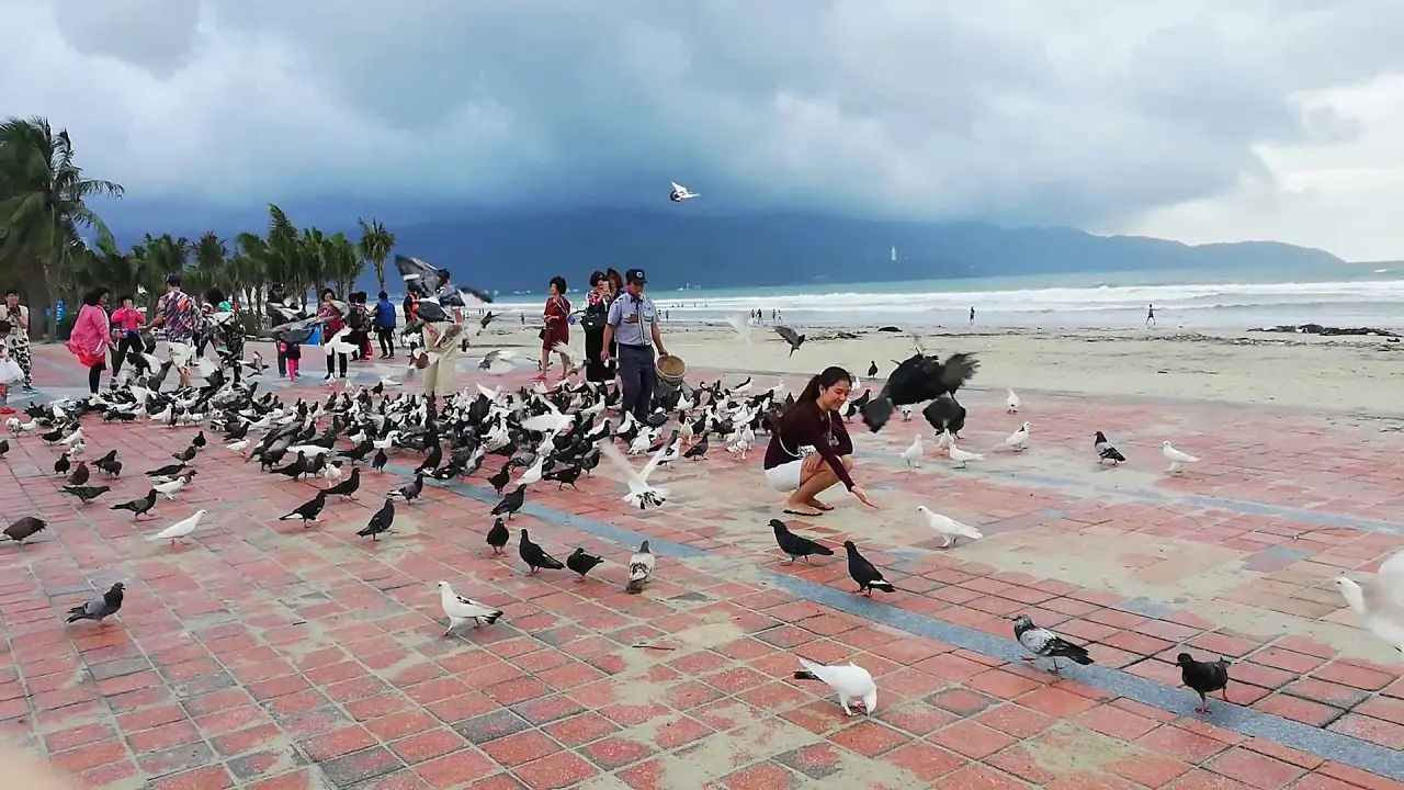 Check-in ngay công viên biển Đông nằm cạnh bãi biển Mỹ Khê vô cùng xinh đẹp
