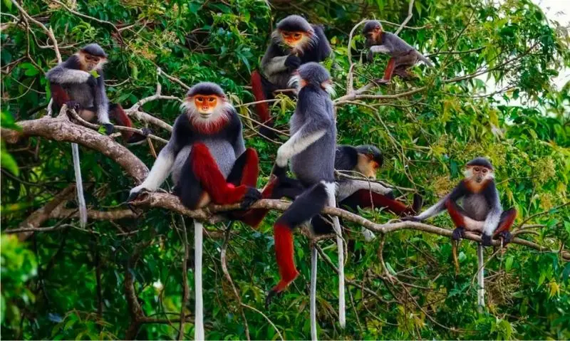B&atilde;i C&aacute;t V&agrave;ng với vẻ đẹp quyến rũ đốn tim người y&ecirc;u biển 10