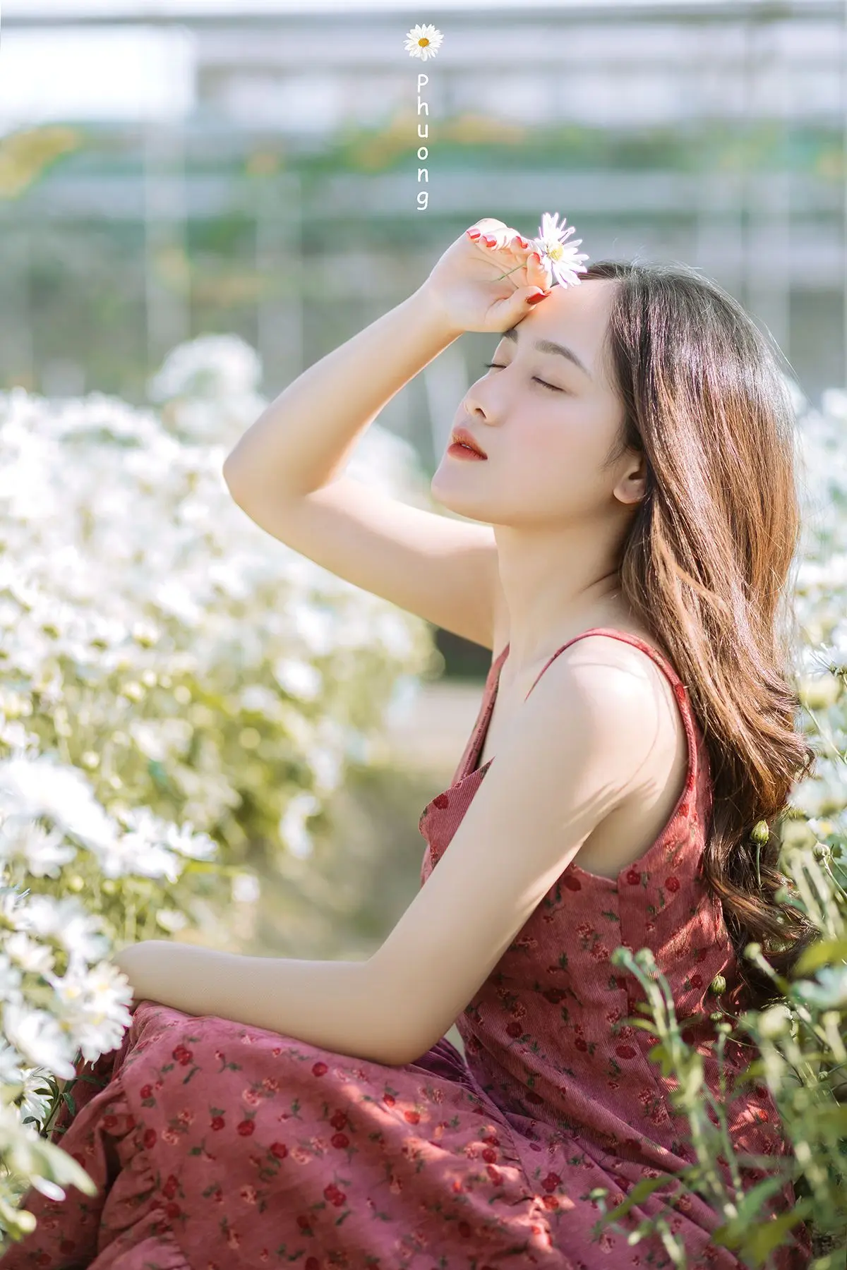 Hỡi những người sắp tỏ t&igrave;nh với crush, hạ c&aacute;nh ngay vườn c&uacute;c họa mi Đ&agrave; Nẵng! 6