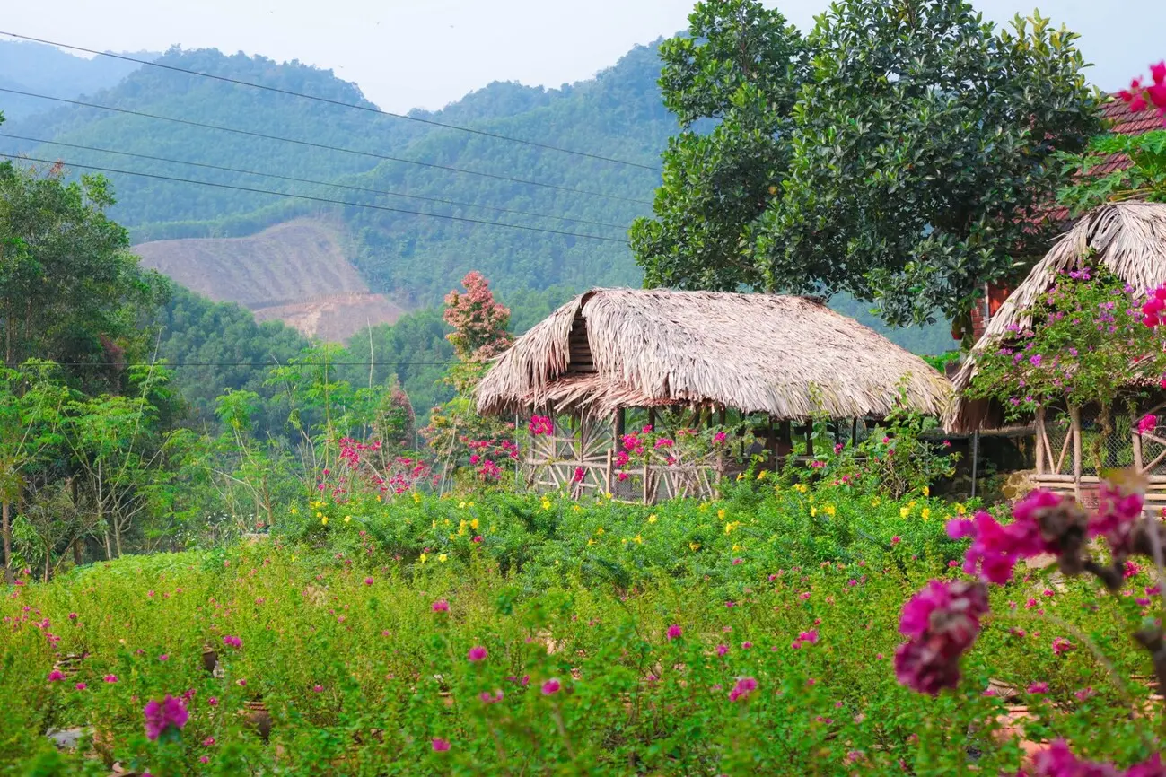 Khu du lịch Suối Hoa Đ&agrave; Nẵng - Chốn nghỉ dưỡng b&igrave;nh y&ecirc;n 4