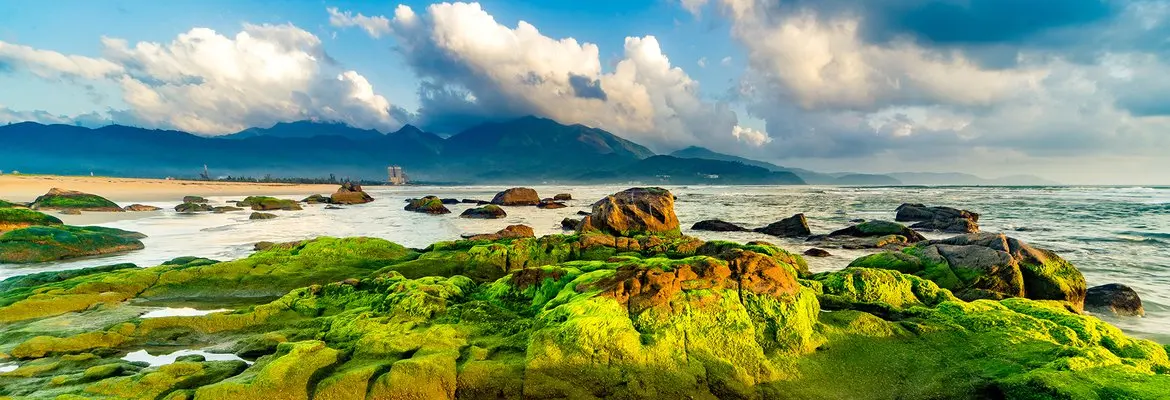 Rạn Nam &Ocirc; - Thi&ecirc;n đường được tạo n&ecirc;n từ đ&aacute; 2