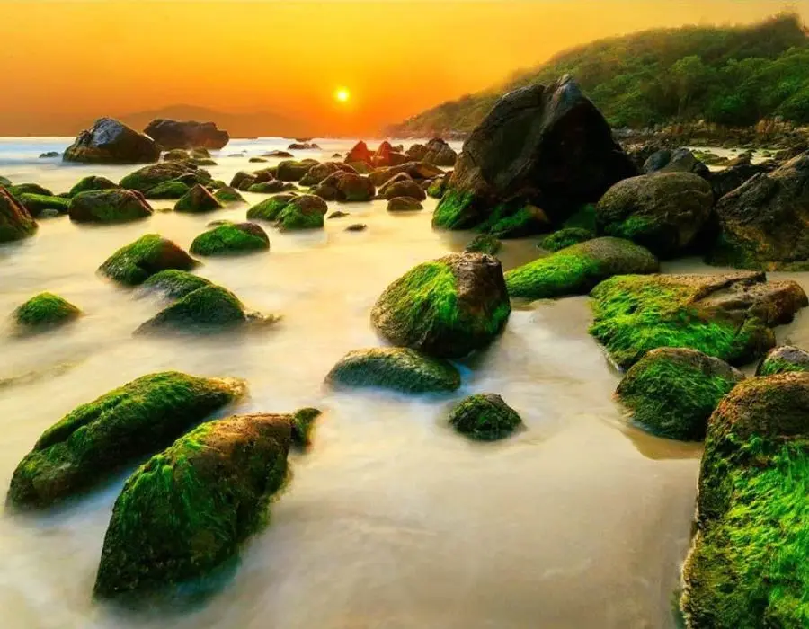 Top điểm Camping Đ&agrave; Nẵng được nhiều bạn trẻ săn l&ugrave;ng 6