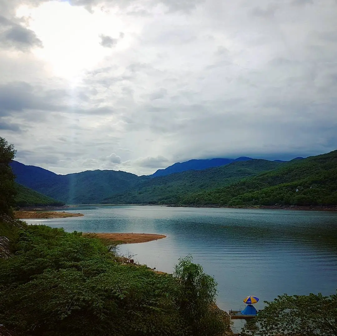 Xi&ecirc;u l&ograve;ng trước vẻ đẹp l&atilde;ng mạn của Đồng Xanh - Đồng Nghệ tựa bức tranh thủy mặc 7