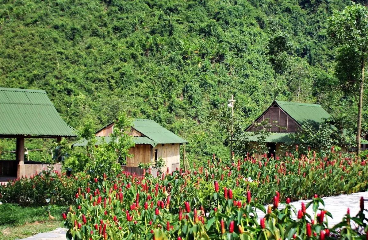 X&otilde;a banh n&oacute;c với trải nghiệm trượt th&aacute;c d&agrave;i 3km th&oacute;t tim ở Th&aacute;c nước H&ograve;a Ph&uacute; Th&agrave;nh, Đ&agrave; Nẵng 3