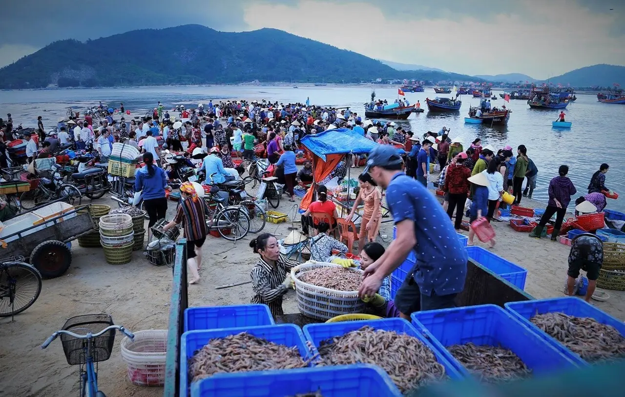 Chợ hải sản Đà Nẵng - Điểm danh các khu chợ bán hải sản tươi ngon giá cực rẻ