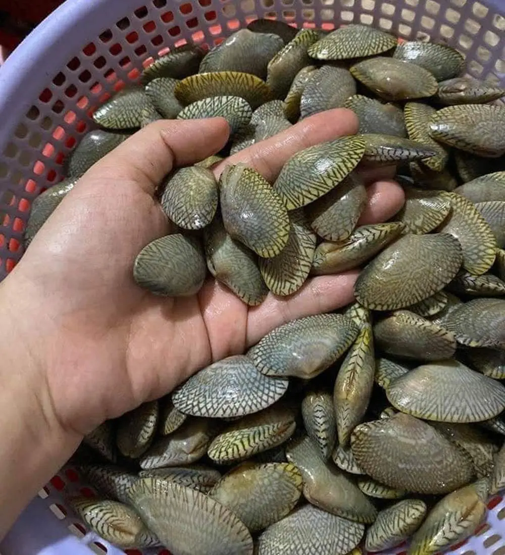 Ch&iacute;p ch&iacute;p hấp sả - Đậm đ&agrave; hương vị miền Trung 7