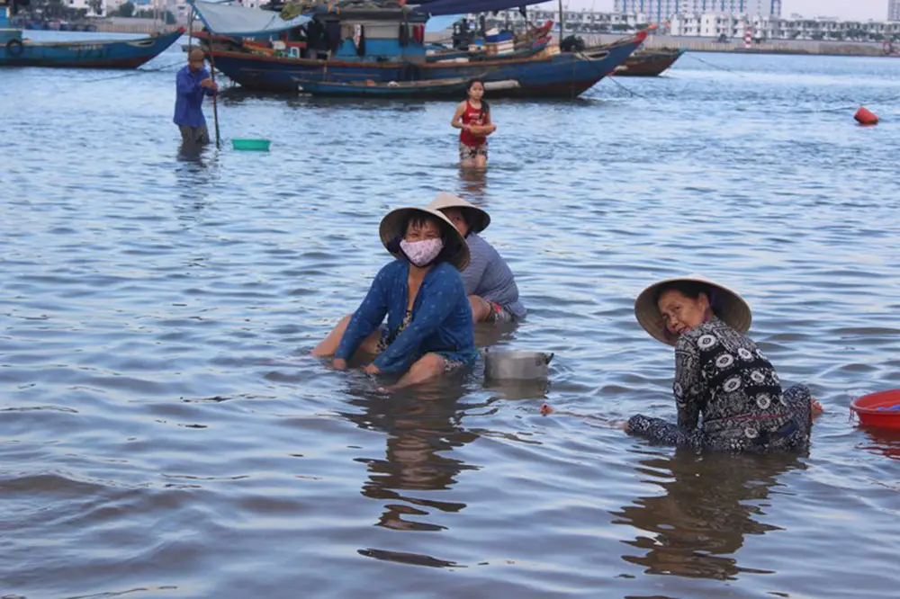 Ch&iacute;p ch&iacute;p hấp sả - Đậm đ&agrave; hương vị miền Trung 4