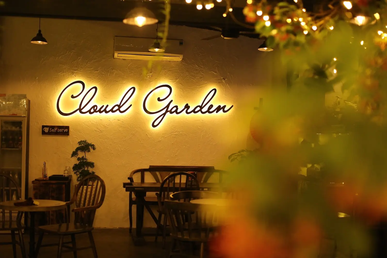 Cloud Garden Coffee Shop &ndash; Trải nghiệm c&agrave; ph&ecirc; hồ c&aacute; Koi lạ mắt tại Đ&agrave; Nẵng 2