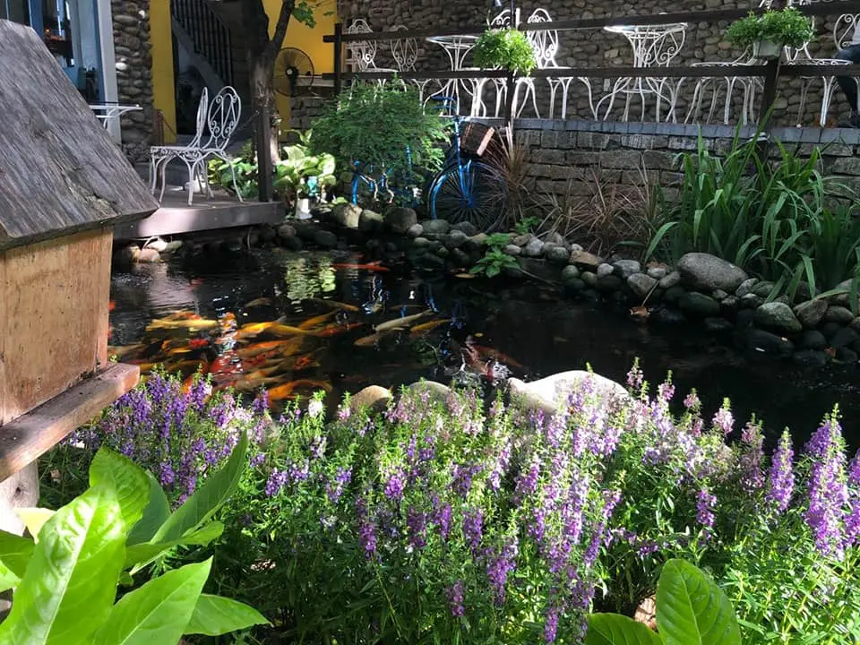 Mộc Mi&ecirc;n Garden Cafe - D&acirc;n t&igrave;nh m&ecirc; mẩn qu&aacute;n c&agrave; ph&ecirc; s&acirc;n vườn đẹp xỉu giữa l&ograve;ng Đ&agrave; Nẵng 7