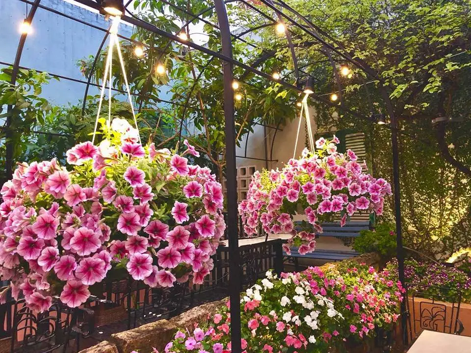 Mộc Mi&ecirc;n Garden Cafe - D&acirc;n t&igrave;nh m&ecirc; mẩn qu&aacute;n c&agrave; ph&ecirc; s&acirc;n vườn đẹp xỉu giữa l&ograve;ng Đ&agrave; Nẵng 8