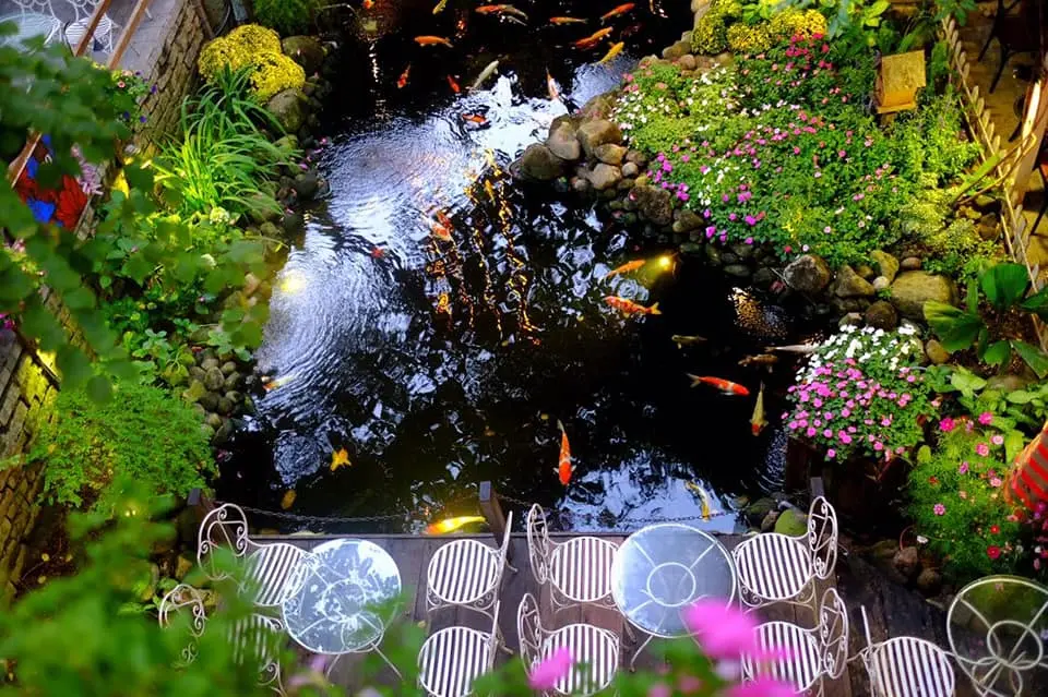 Mộc Mi&ecirc;n Garden Cafe - D&acirc;n t&igrave;nh m&ecirc; mẩn qu&aacute;n c&agrave; ph&ecirc; s&acirc;n vườn đẹp xỉu giữa l&ograve;ng Đ&agrave; Nẵng 6