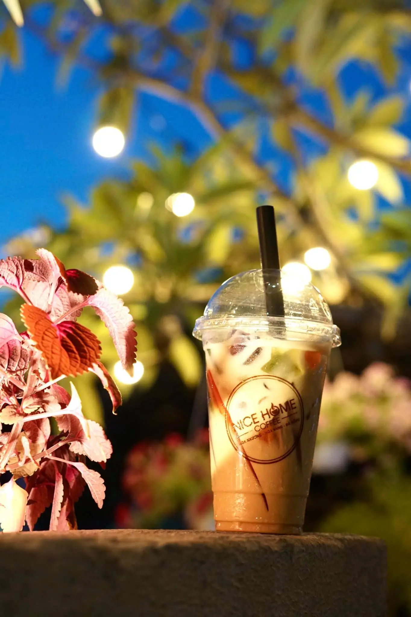 Nice Home Coffee &ndash; Qu&aacute;n caf&eacute; thu h&uacute;t giới trẻ với thiết kế kh&ocirc;ng gian ấn tượng 18