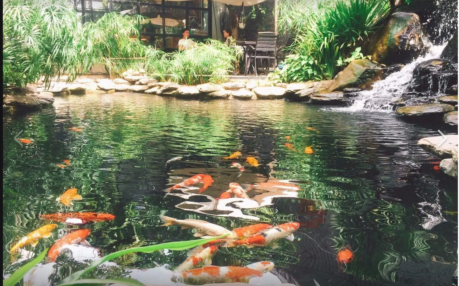 The Garden House Da Nang - Kh&aacute;m ph&aacute; khu vườn xanh giữa l&ograve;ng Đ&agrave; th&agrave;nh 8