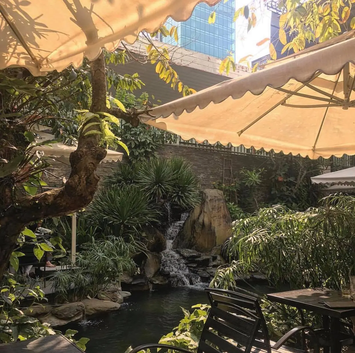 The Garden House Da Nang - Kh&aacute;m ph&aacute; khu vườn xanh giữa l&ograve;ng Đ&agrave; th&agrave;nh 6