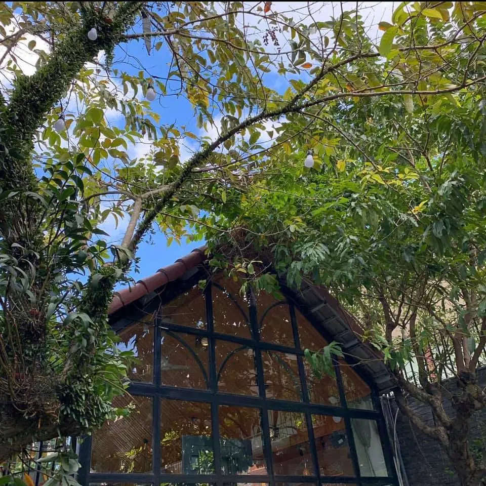 The Garden House Da Nang - Kh&aacute;m ph&aacute; khu vườn xanh giữa l&ograve;ng Đ&agrave; th&agrave;nh 7