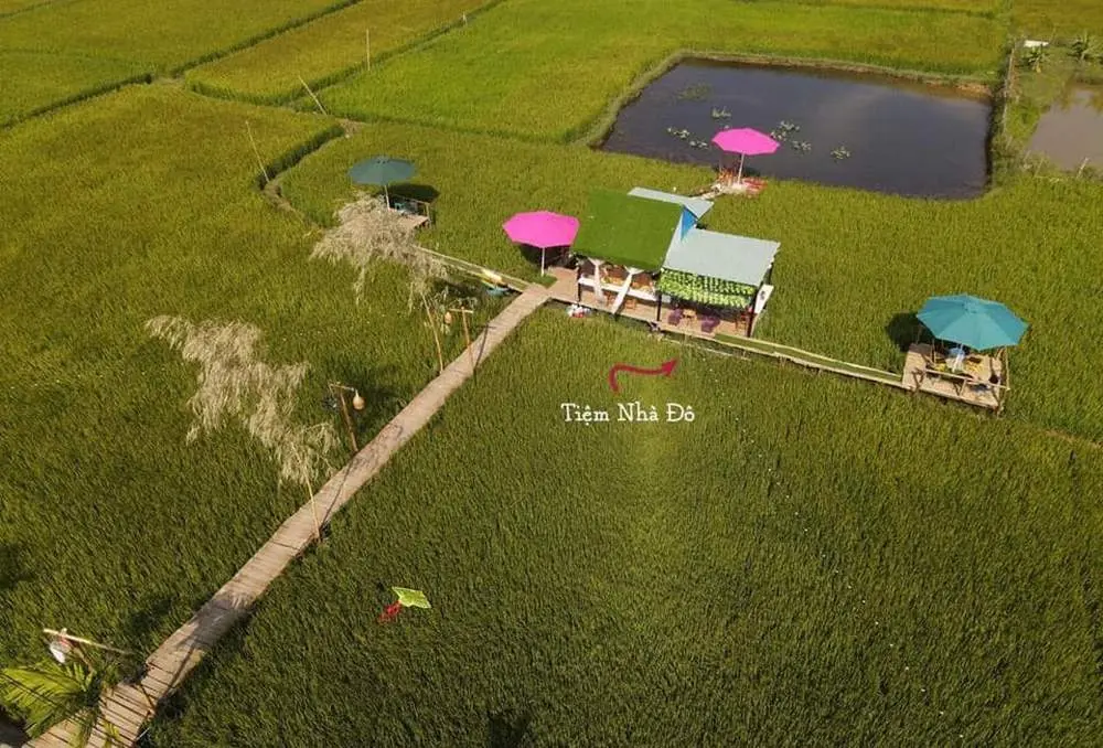 Tiệm Nh&agrave; Đ&ocirc; - Qu&aacute;n c&agrave; ph&ecirc; giữa c&aacute;nh đồng l&uacute;a b&igrave;nh y&ecirc;n 2