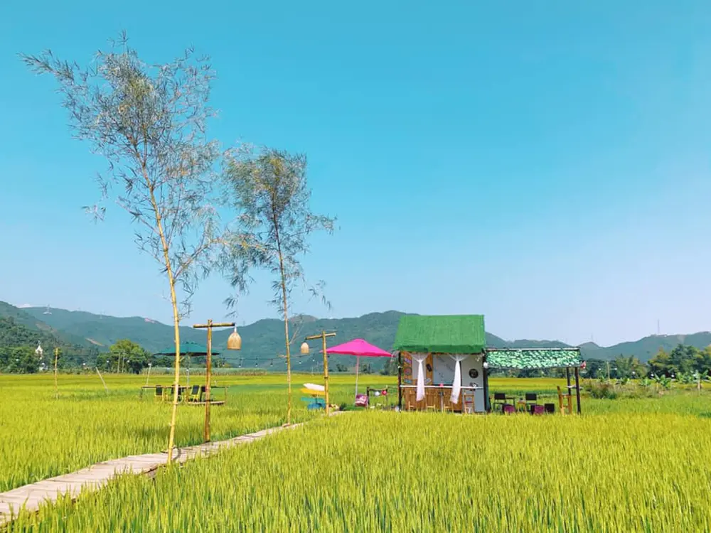 Tiệm Nh&agrave; Đ&ocirc; - Qu&aacute;n c&agrave; ph&ecirc; giữa c&aacute;nh đồng l&uacute;a b&igrave;nh y&ecirc;n 3