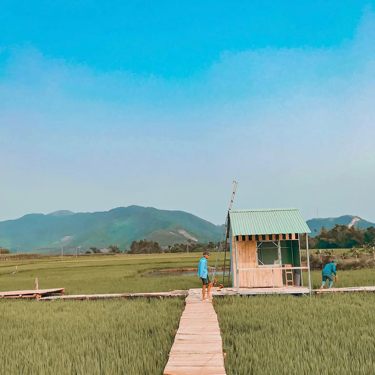 Tiệm Nh&agrave; Đ&ocirc; - Qu&aacute;n c&agrave; ph&ecirc; giữa c&aacute;nh đồng l&uacute;a b&igrave;nh y&ecirc;n 5
