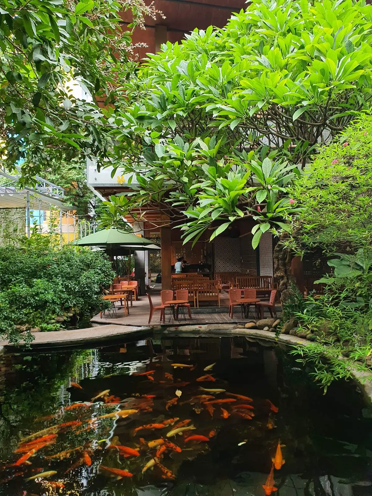 Đắm chìm vào thiên nhiên cực chill ở quán Nia Cafe Đà Nẵng