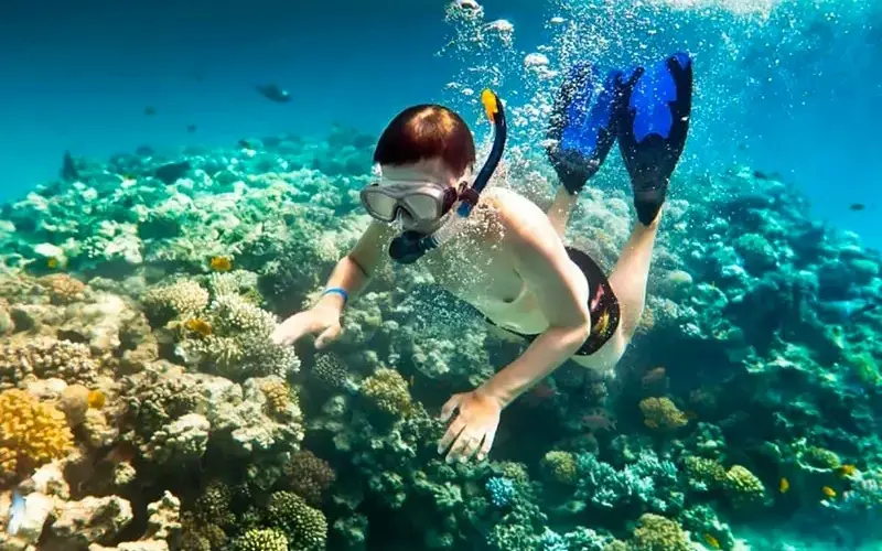B&atilde;i Đ&aacute; Đen Đ&agrave; Nẵng: Thi&ecirc;n đường hoang sơ l&agrave;m du kh&aacute;ch say l&ograve;ng 6