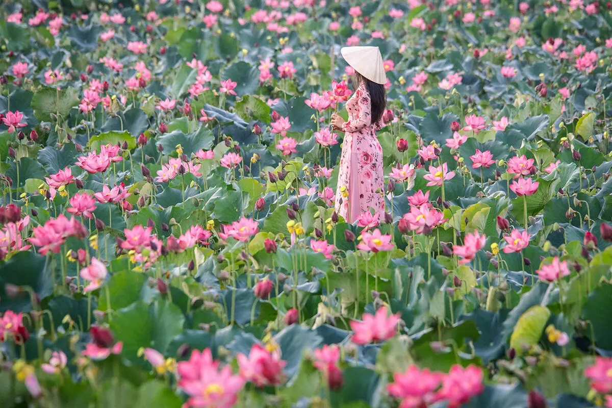 Chi&ecirc;m ngưỡng vẻ đẹp kh&oacute; cưỡng của Đầm Sen Tr&agrave; L&yacute; 3