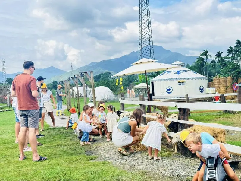 Hani Glamping Đ&agrave; Nẵng trải nghiệm cắm trại tựa giữa miền M&ocirc;ng Cổ 9