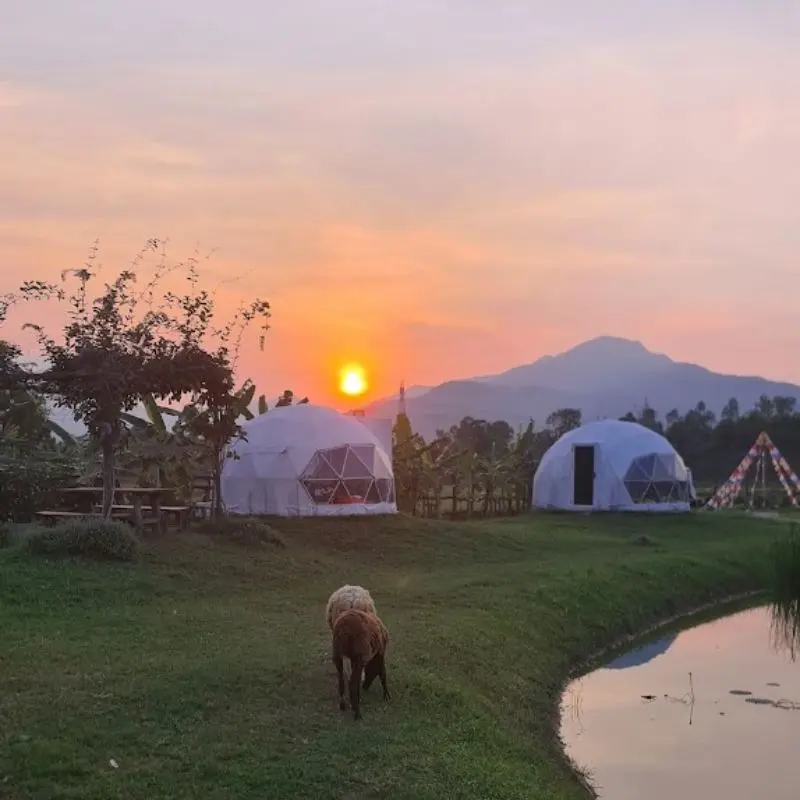 Hani Glamping Đ&agrave; Nẵng trải nghiệm cắm trại tựa giữa miền M&ocirc;ng Cổ 5