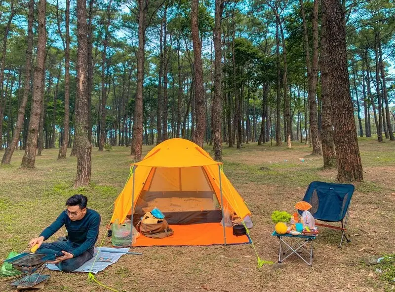 Kh&aacute;m ph&aacute; rừng th&ocirc;ng Bồ Bồ thơ mộng v&agrave; thanh b&igrave;nh 7