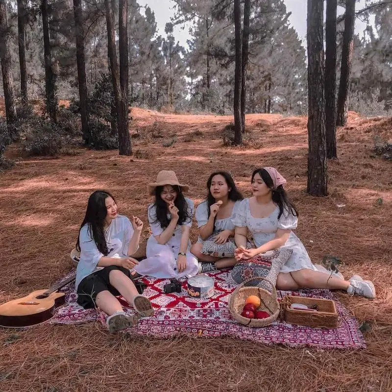 Kh&aacute;m ph&aacute; rừng th&ocirc;ng Bồ Bồ thơ mộng v&agrave; thanh b&igrave;nh 6