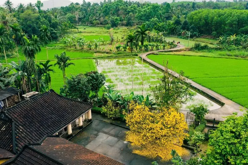 L&agrave;ng cổ Lộc Y&ecirc;n: Miền ti&ecirc;n cảnh nơi đất Quảng 7