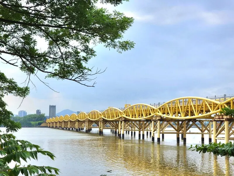 Top 11 c&acirc;y cầu ở Đ&agrave; Nẵng đẹp v&agrave; nổi tiếng nhất 8
