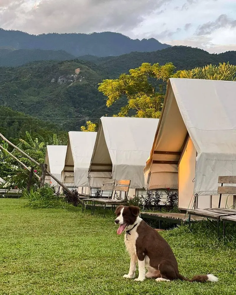 Top 6 khu glamping Đ&agrave; Nẵng cho bạn h&ograve;a m&igrave;nh thi&ecirc;n nhi&ecirc;n 4