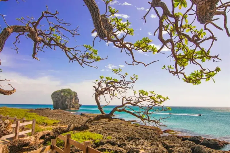 Check in c&ocirc;ng vi&ecirc;n Kenting với cảnh thi&ecirc;n nhi&ecirc;n h&ugrave;ng vĩ 3