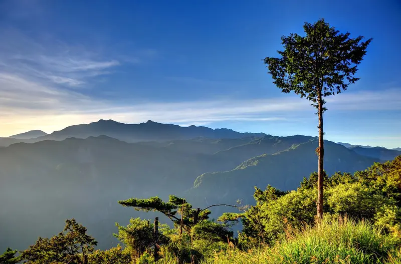 Đi t&agrave;u l&ecirc;n Alishan kh&aacute;m ph&aacute; miền ti&ecirc;n cảnh Đ&agrave;i Loan 5