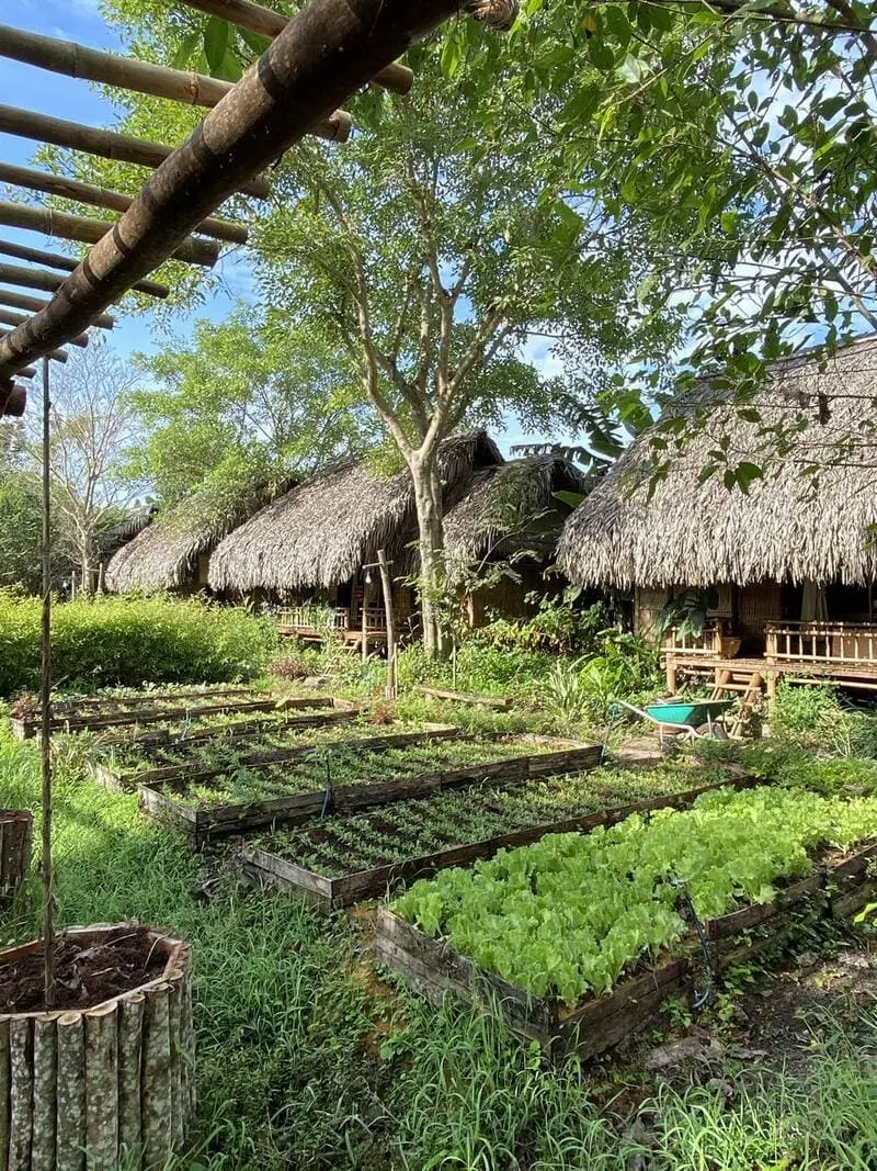 B&igrave;nh dị nơi Dốc Mơ Farm, kh&ocirc;ng gian an l&agrave;nh với n&ocirc;ng phẩm tươi ngon 4