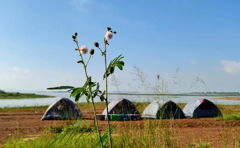 Chill cùng trải nghiệm camping Hồ Trị An cực lãng mạn 10