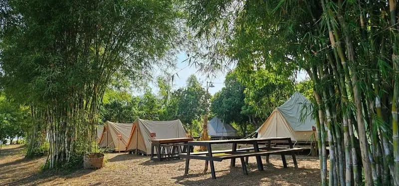 Về miền đất thanh b&igrave;nh Gạo Farmstay trải nghiệm nhiều điều th&uacute; vị 5