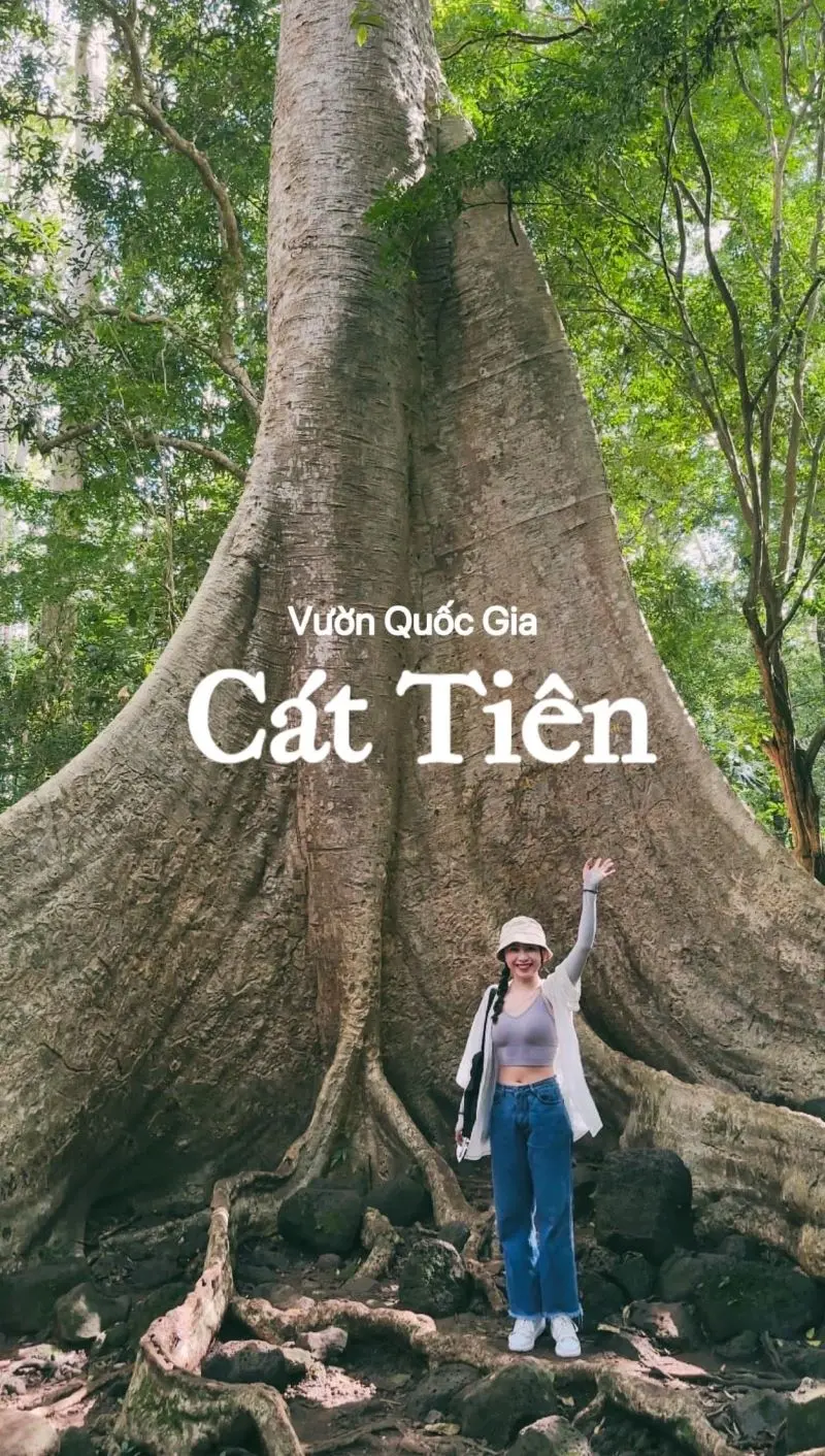 Vườn Quốc gia Nam C&aacute;t Ti&ecirc;n, &ldquo;m&atilde;n nh&atilde;n&rdquo; bởi thi&ecirc;n nhi&ecirc;n tươi đẹp 2