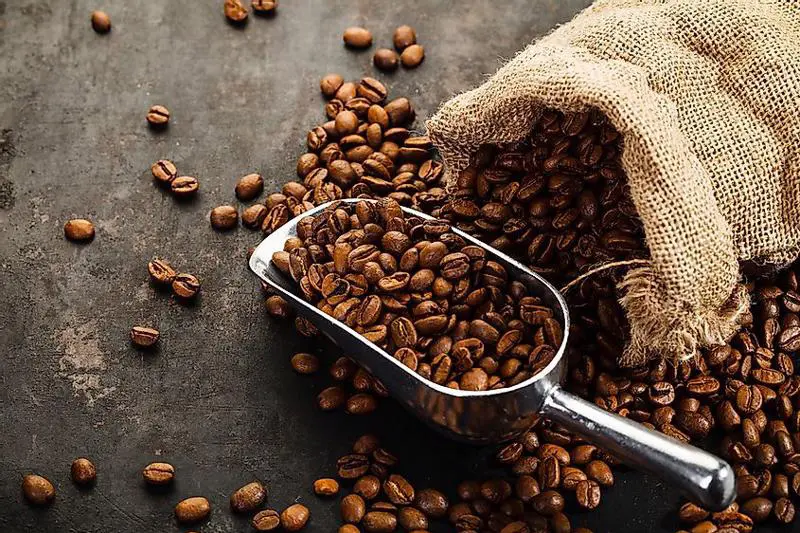 10+ m&oacute;n đặc sản Gia Lai gom trọn hương vị n&uacute;i rừng T&acirc;y Nguy&ecirc;n 8