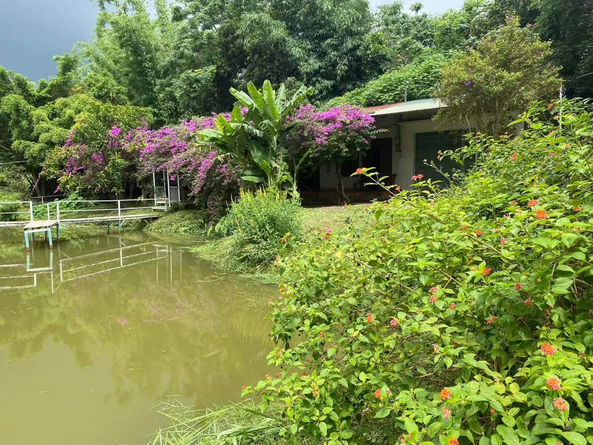 Đến Hương Đồng thưởng thức ẩm thực v&agrave; c&acirc;u c&aacute; thư gi&atilde;n 2
