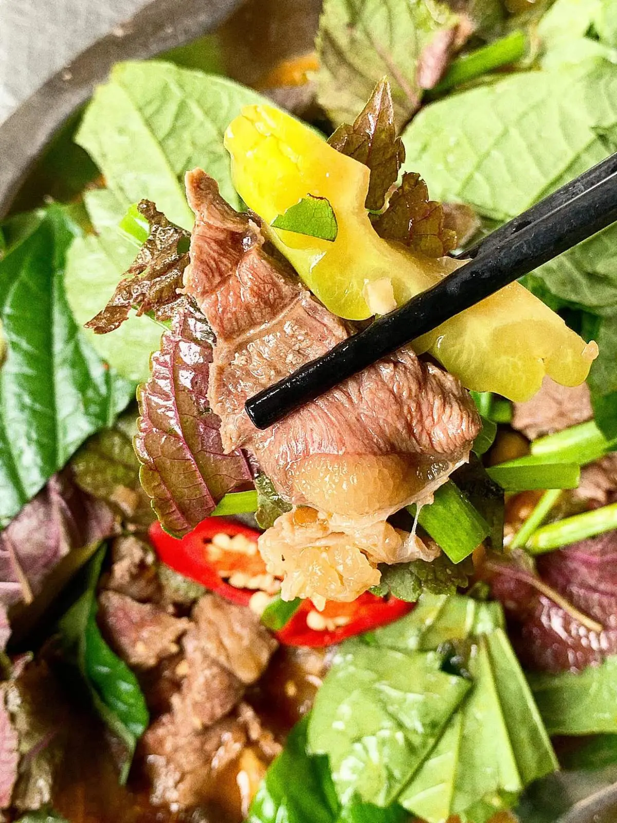 Gh&eacute; Qu&aacute;n Nhỏ Ơi trải nghiệm kh&ocirc;ng gian ẩm thực s&acirc;n vườn độc đ&aacute;o 4