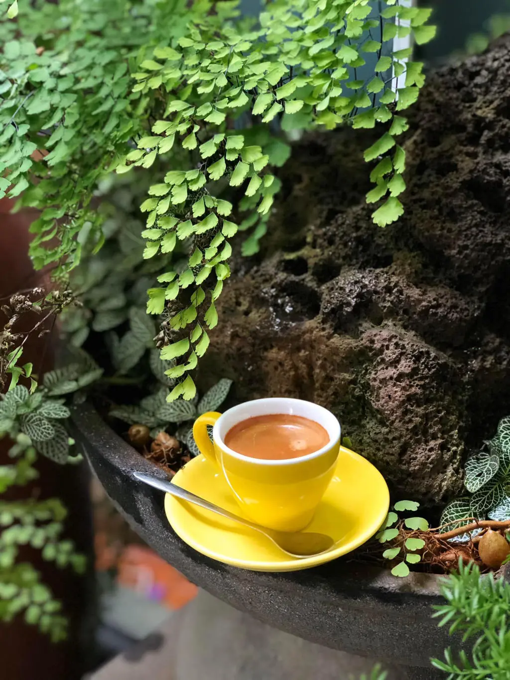 L&acirc;m Vi&ecirc;n Coffee Garden, qu&aacute;n c&agrave; ph&ecirc; kh&ocirc;ng gian xanh tại phố n&uacute;i 6
