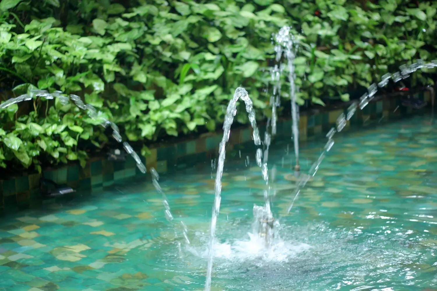 Ngon Avatar Coffee Garden Teahouse, ng&ocirc;i nh&agrave; c&agrave; ph&ecirc; xinh đẹp tại Pleiku 15