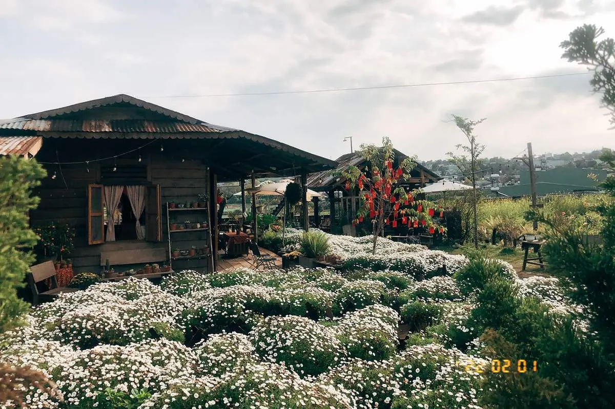 Y&Ecirc;N coffee v&agrave; kh&ocirc;ng gian c&agrave; ph&ecirc; đậm chất n&uacute;i rừng T&acirc;y Nguy&ecirc;n 3