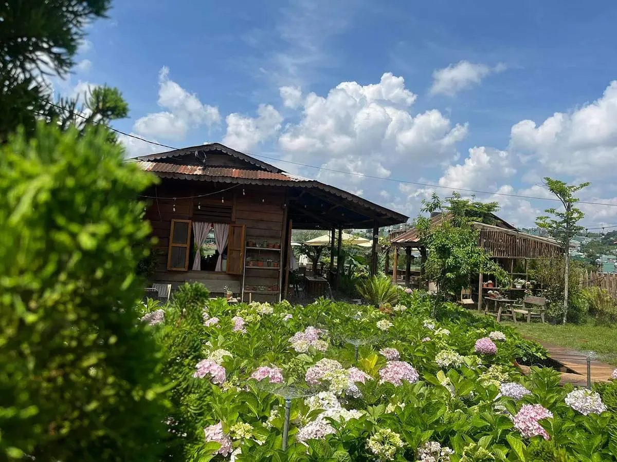 Y&Ecirc;N coffee v&agrave; kh&ocirc;ng gian c&agrave; ph&ecirc; đậm chất n&uacute;i rừng T&acirc;y Nguy&ecirc;n 9