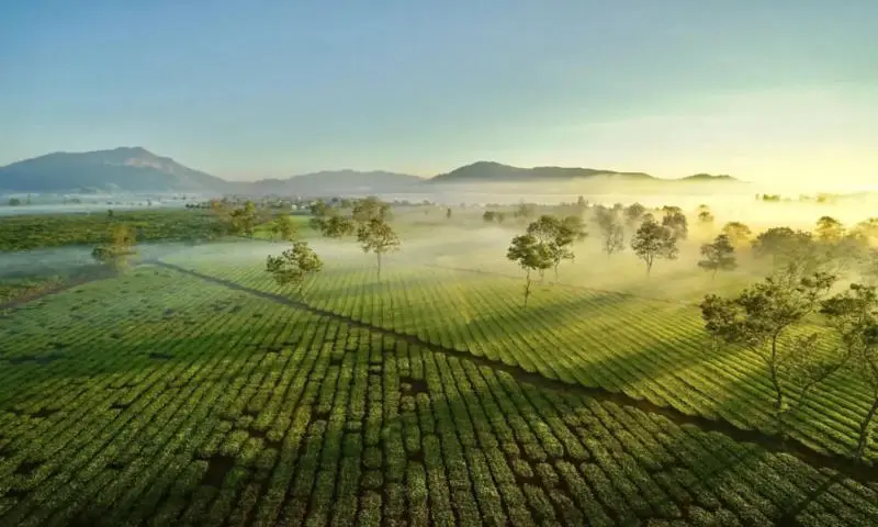 Bật mí Gia Lai có gì chơi cho chuyến đi thêm trọn vẹn 5