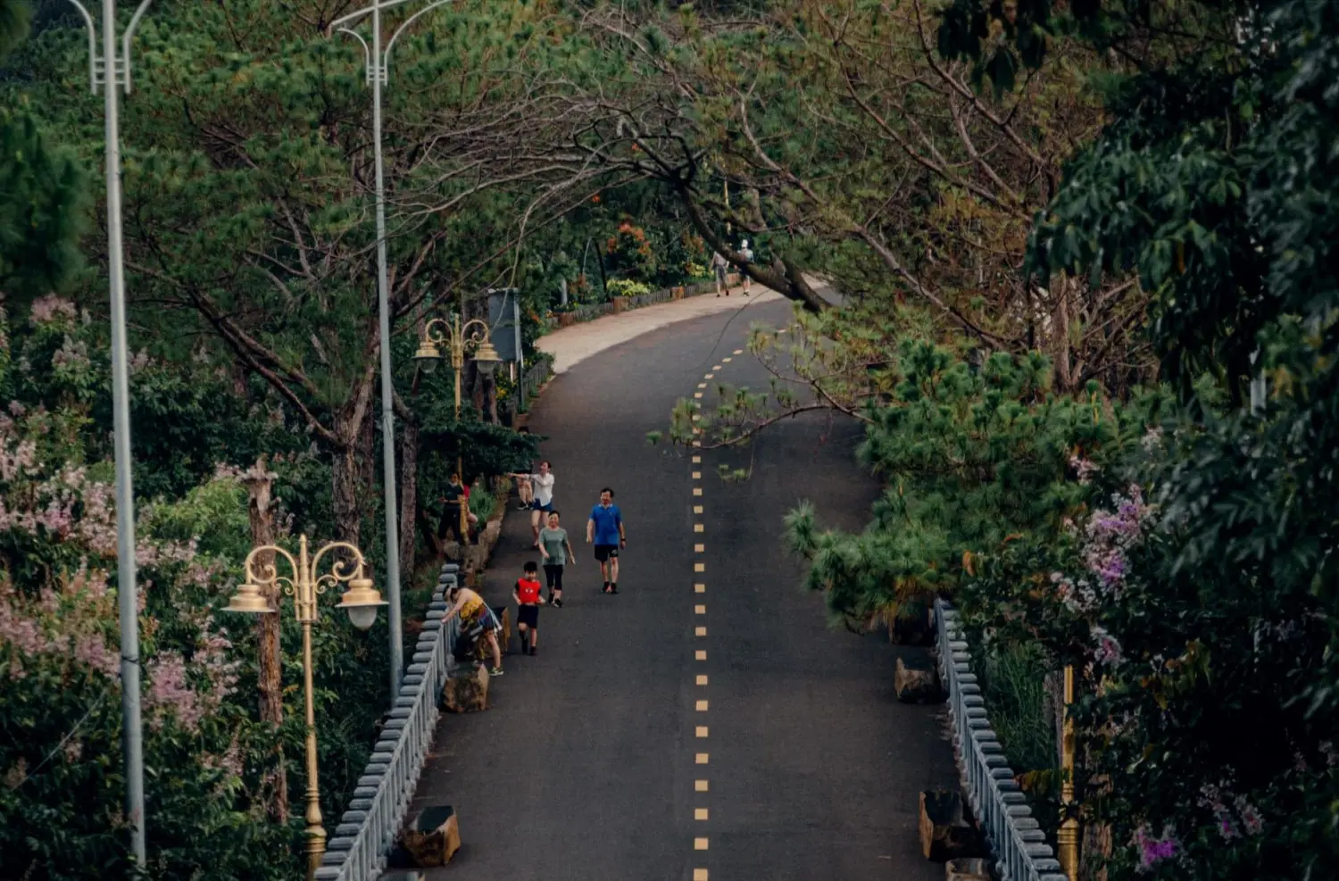 Dạo quanh Biển hồ Gia Lai dưới ống k&iacute;nh của Vũ Minh C&ocirc;ng 4