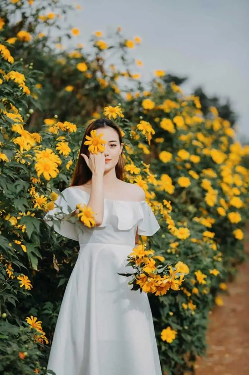 Rừng hoa d&atilde; quỳ Gia Lai, kh&ocirc;ng gian sắc m&agrave;u rực rỡ phố n&uacute;i 2